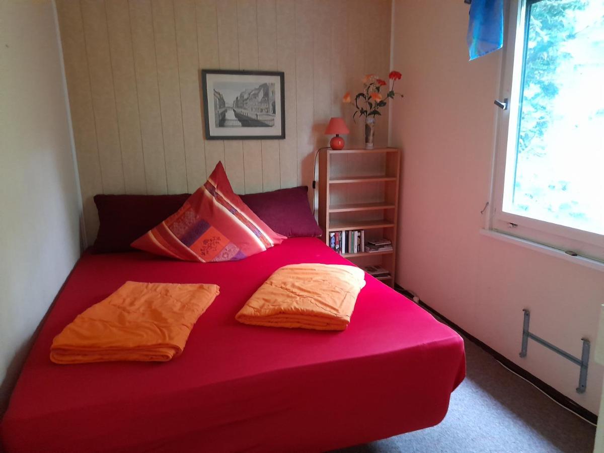 Willa Bungalow Am Waldbad Dahlen Zewnętrze zdjęcie